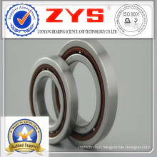 High Precision Angular Contact Ball Bearing B7012c